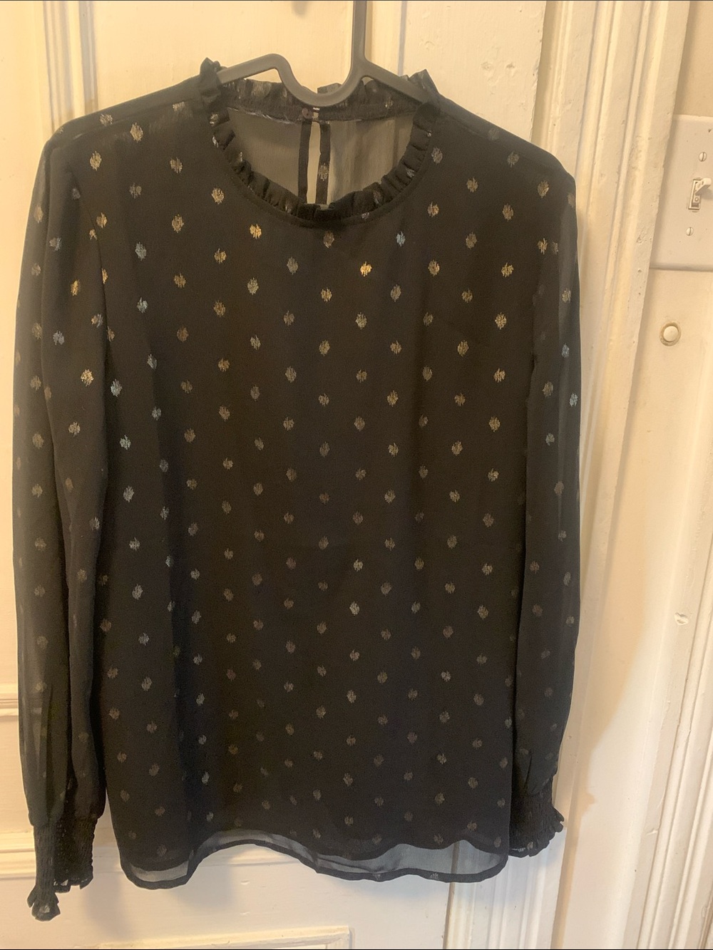 Sheer/Shiffon black blouse with sleeves